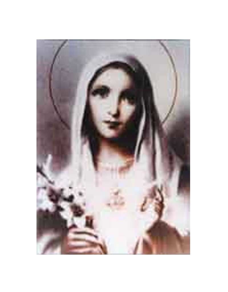 Mother Mary w Lilies 5x7 Laminated Card