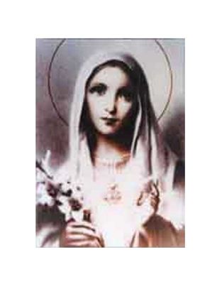 Mother Mary w Lilies 5x7 Laminated Card