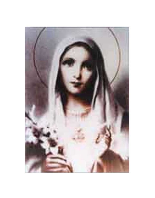 Mother Mary w Lilies 5x7 Laminated Card