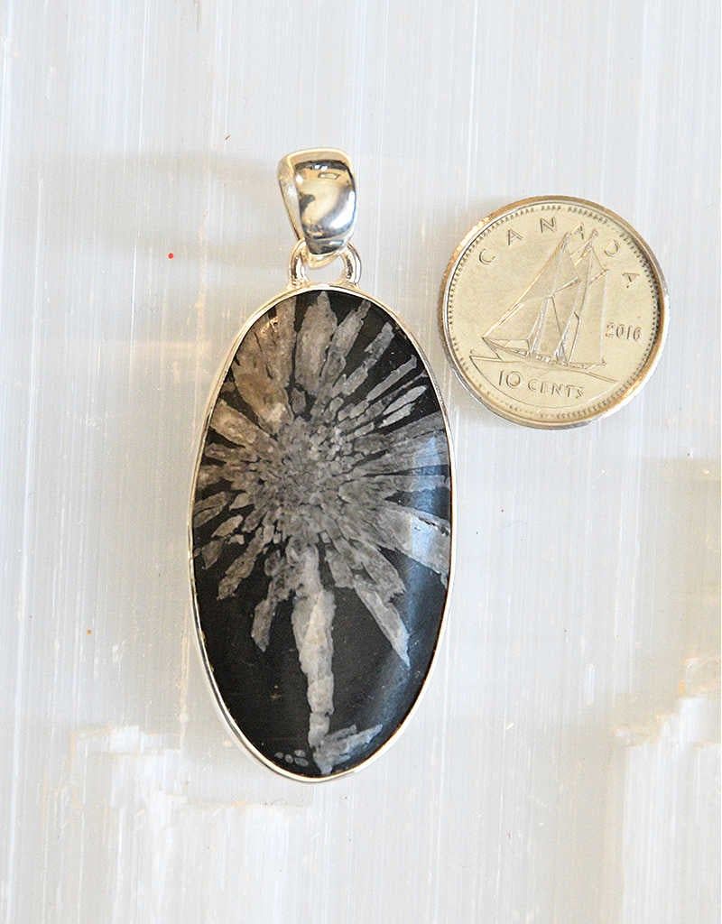 Chrysanthemum  Pendant B Sterling Silver