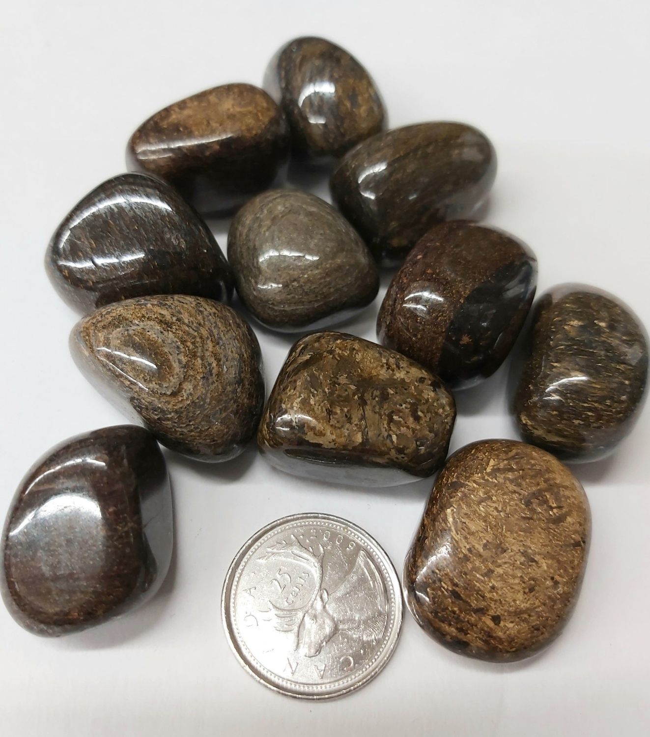 Bronzite Tumbled