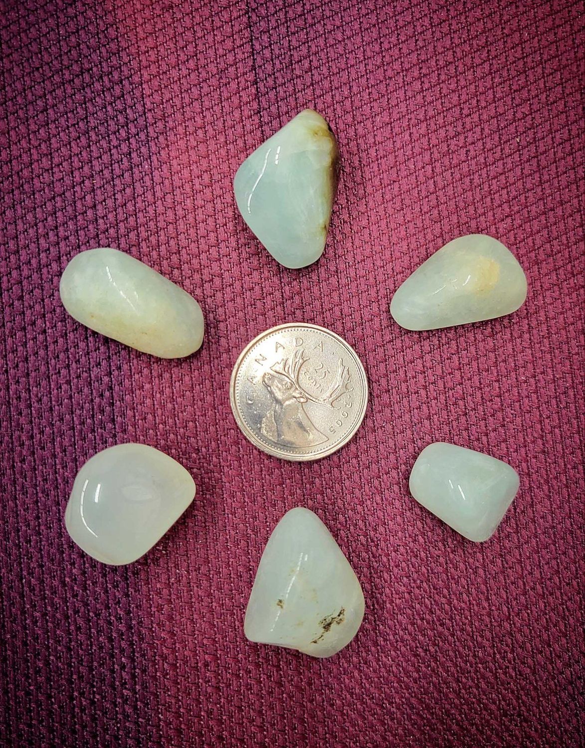 Green Prehnite Tumbled