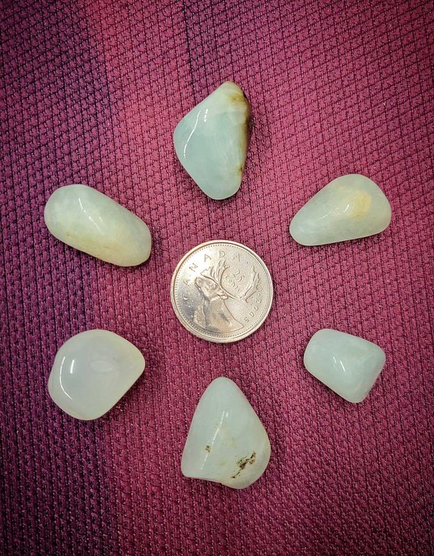 Green Prehnite Tumbled