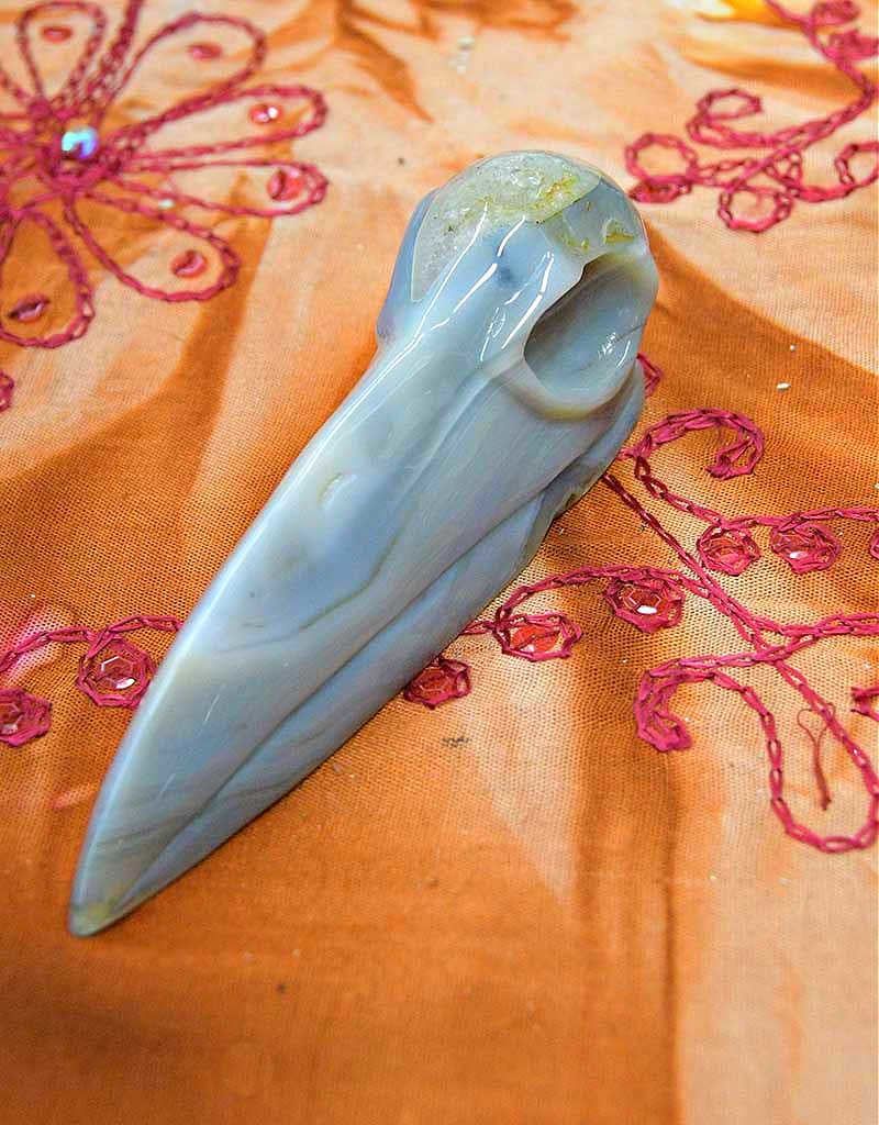 Raven Skull Agate  6in - $220