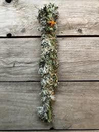 7-8&quot; Wormwood Stick  Locally Grown Organic