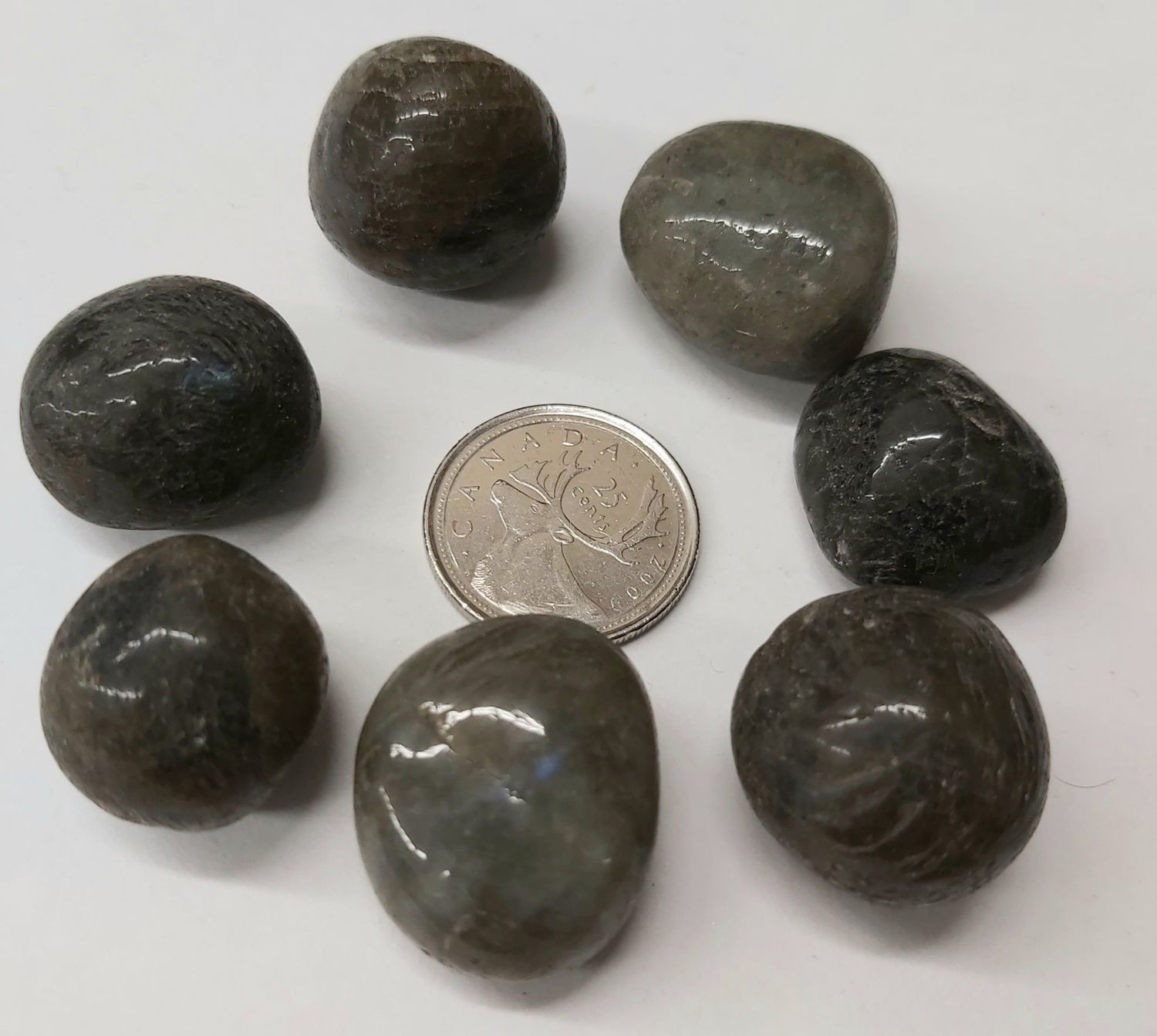 Labradorite Tumbled $3