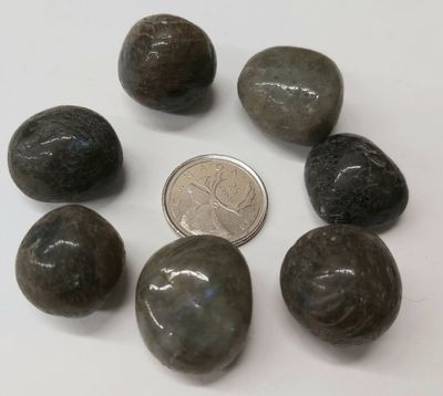 Labradorite Tumbled $3