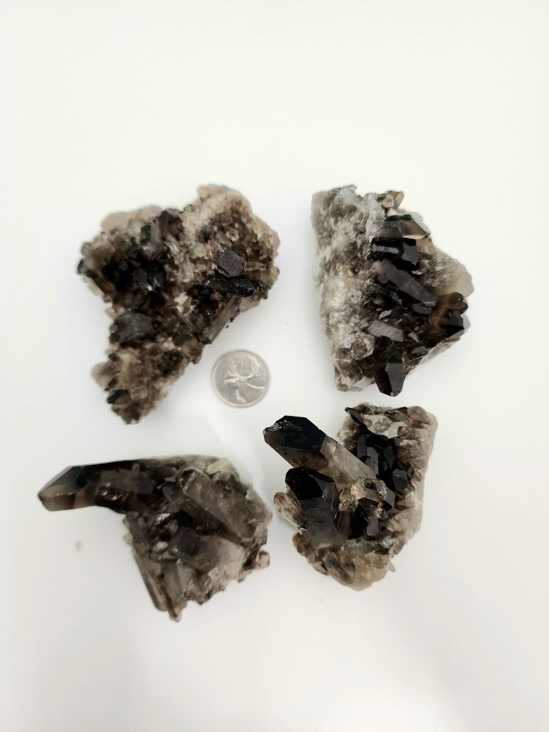 Smoky Quartz Clusters $37