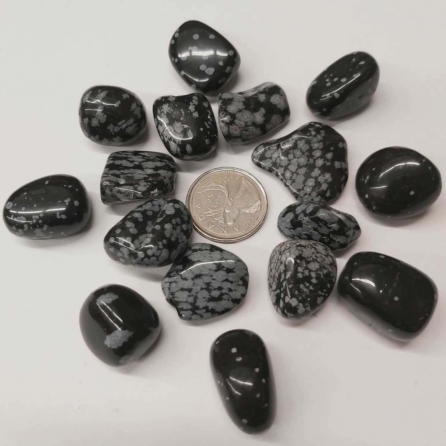 Snowflake Obsidian Tumbled