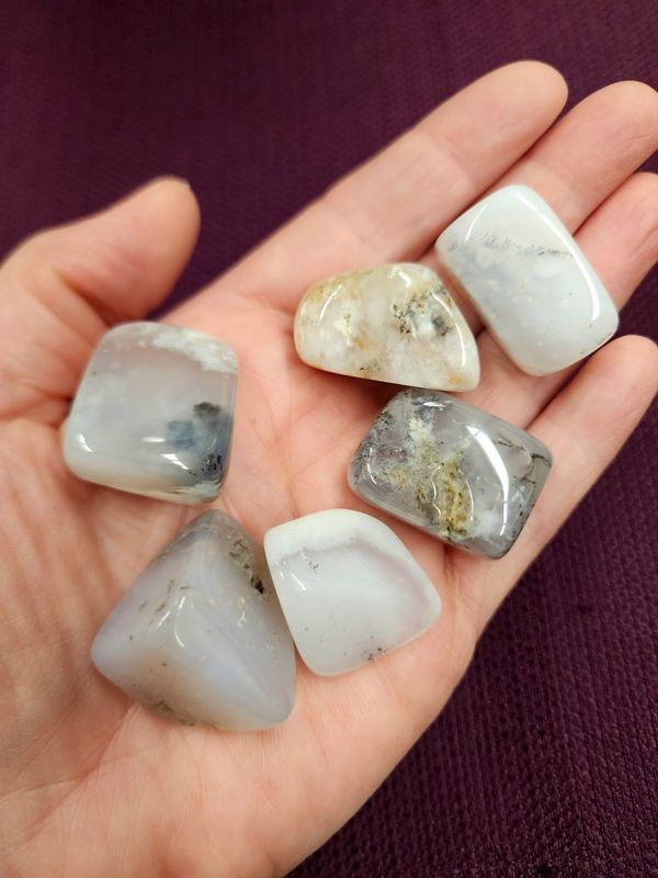 Merlinite / Dendritic Agate Tumbled