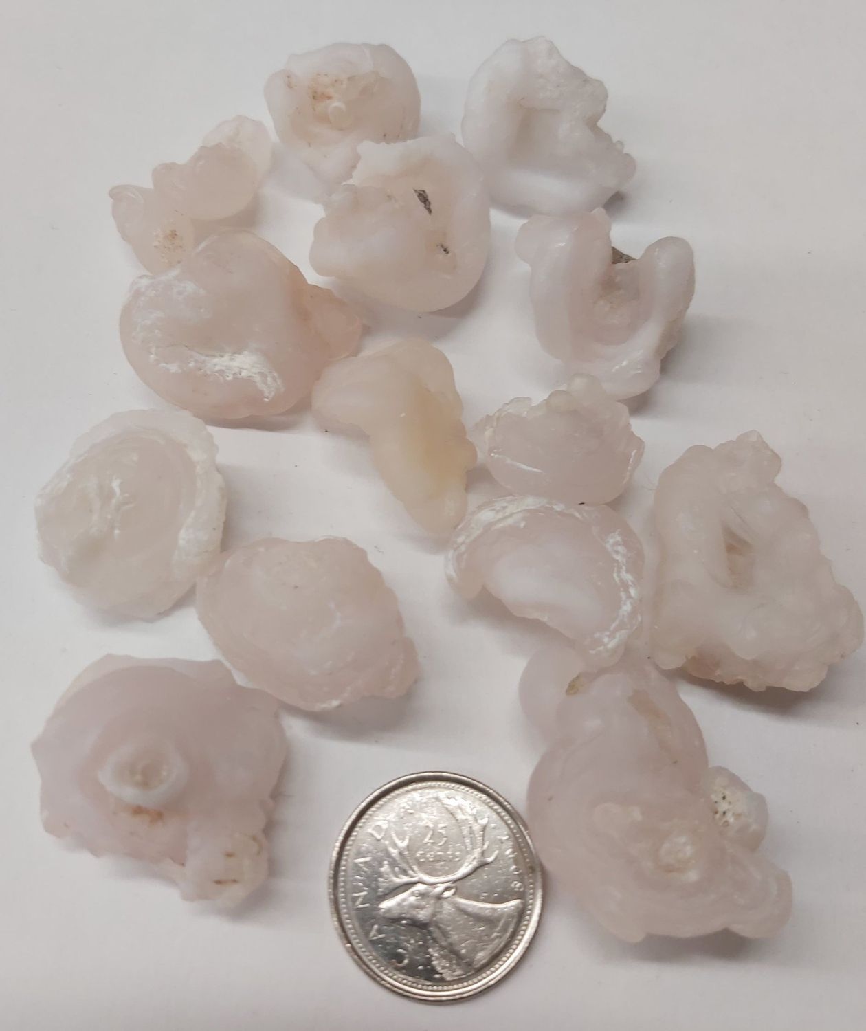 Chalcedony Rosettes