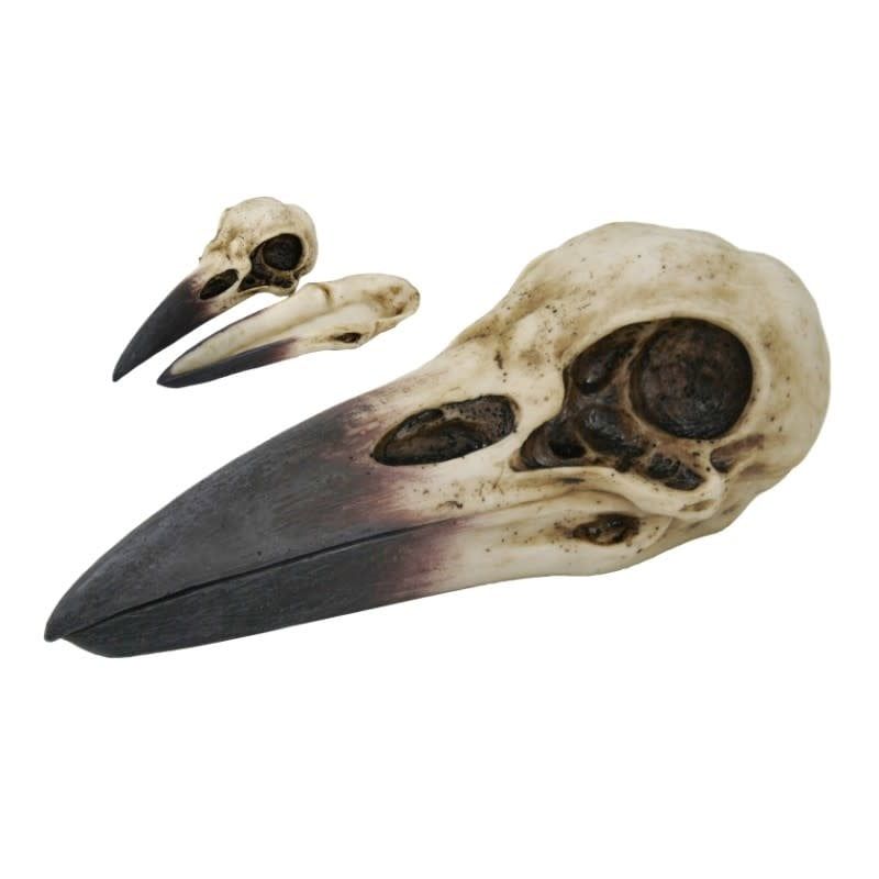 Raven Skull Statue
