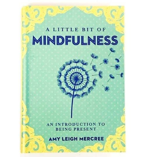 A Little Bit of Mindfulness by Amy Leigh Mercree