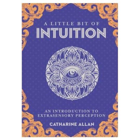 A Little Bit of Intuition by Catharine Allan