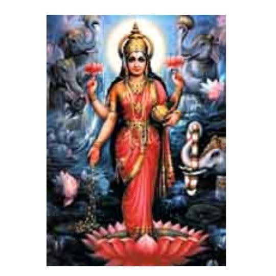 Lakshmi 1 - Laminated Cards