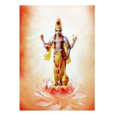 Vishnu - Laminated Cards
