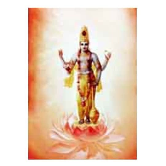 Vishnu - Laminated Cards