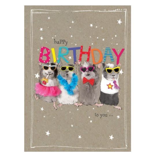 Fun Day Happy Birthday - Greeting Card