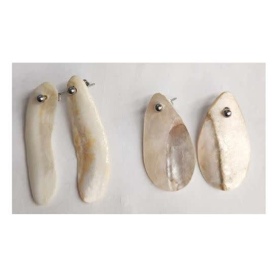 Lake Erie Shell Post Earrings