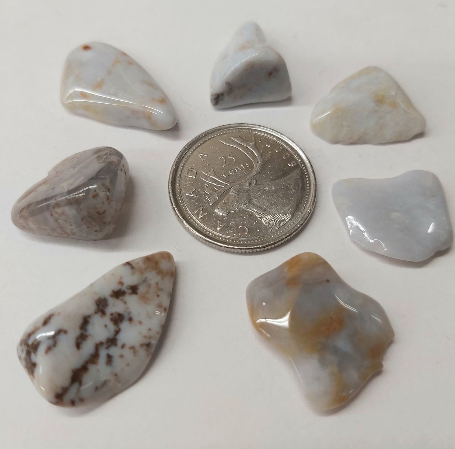 Blue Chalcedony Tumbled $3