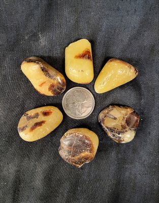Septarian Tumbled Med $6
