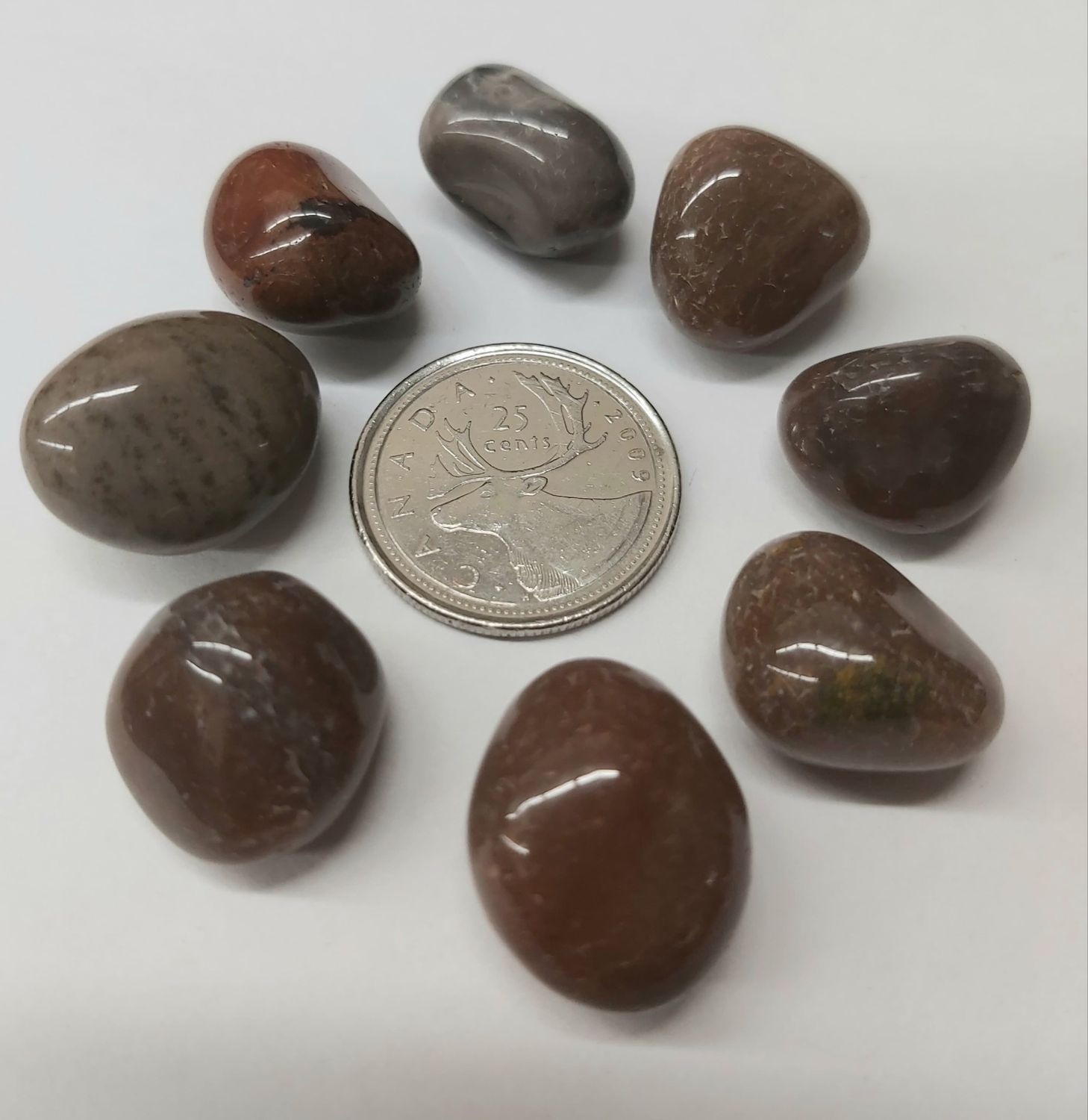 Fancy Jasper Tumbled $1