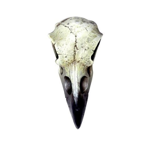 Raven Skull Small 1&quot; x 2.25&quot;