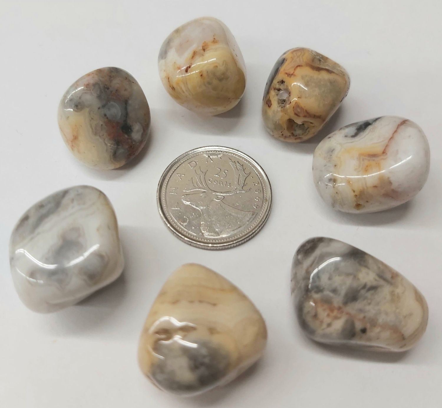 Crazy Lace Agate Tumbled $3