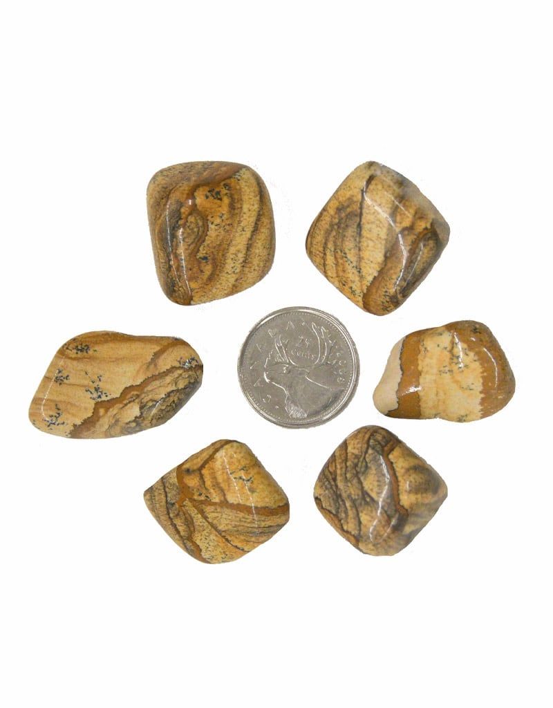 Picture Jasper Tumbled $2