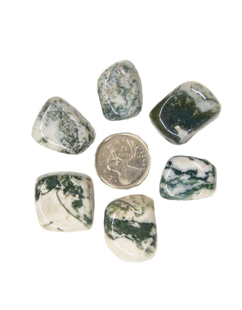 Green Tree (Dendritic) Agate Tumbled $2
