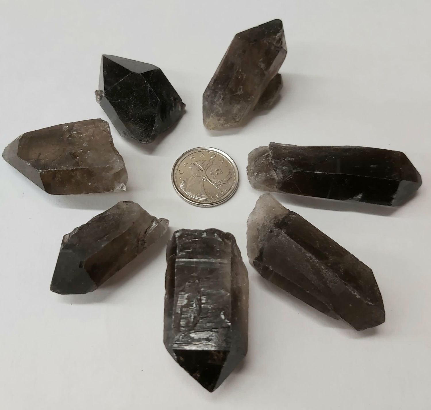 Smoky Quartz  Points