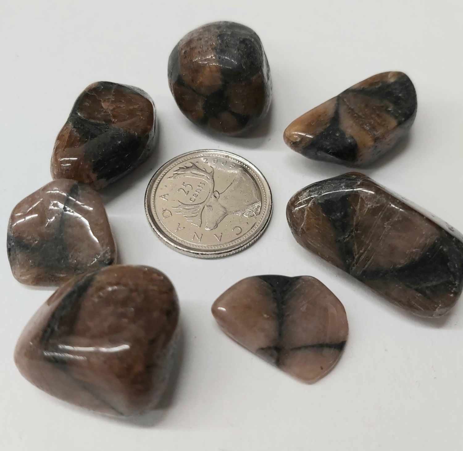 Chiastolite Tumbled $5