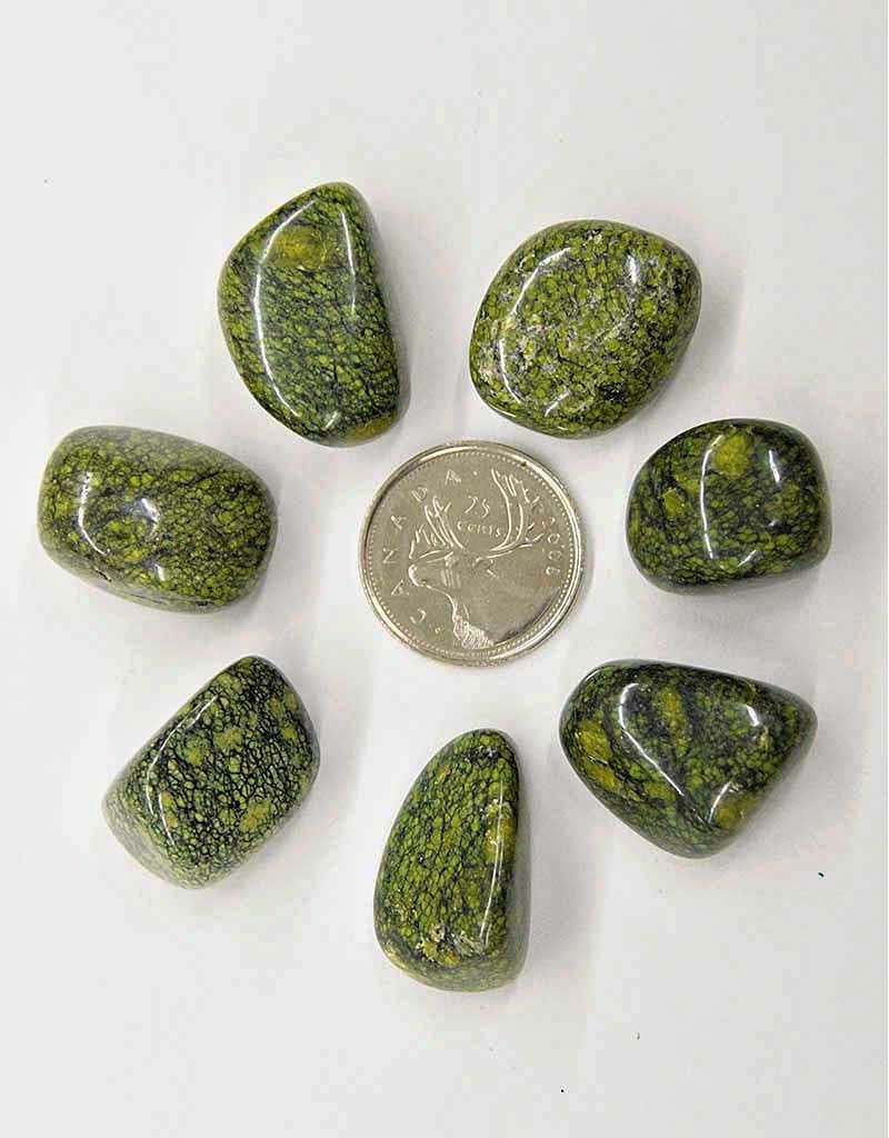 Green Snakeskin Jasper Tumbled