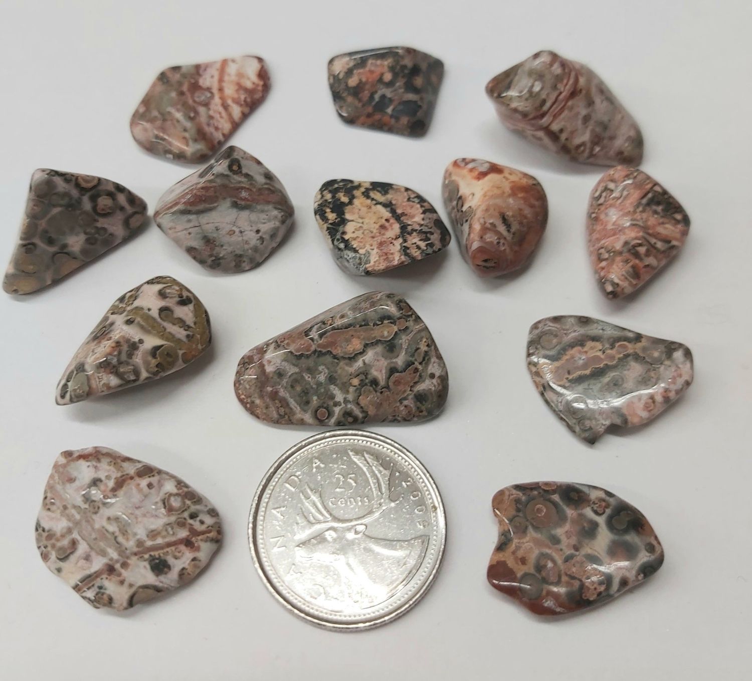 Leopardskin Jasper (Jaguar Stone) Tumbled $2