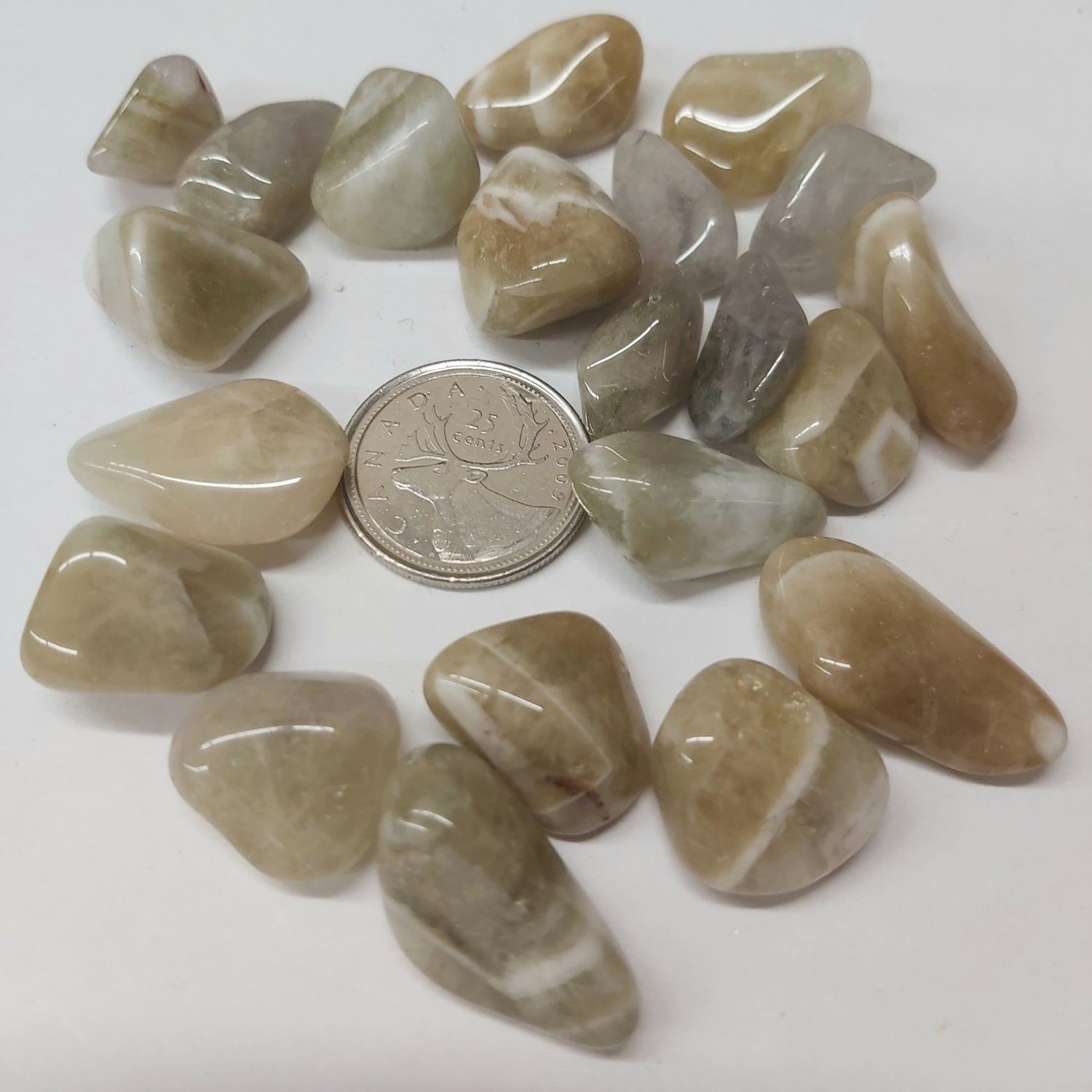 Amegreen Tumbled $2
