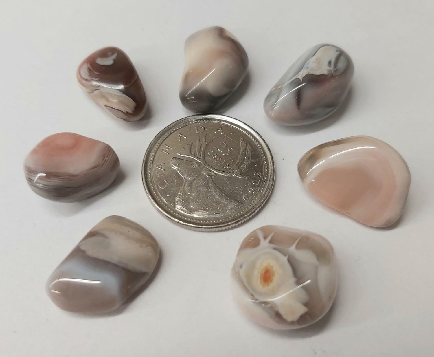Botswana Agate Tumbled $3