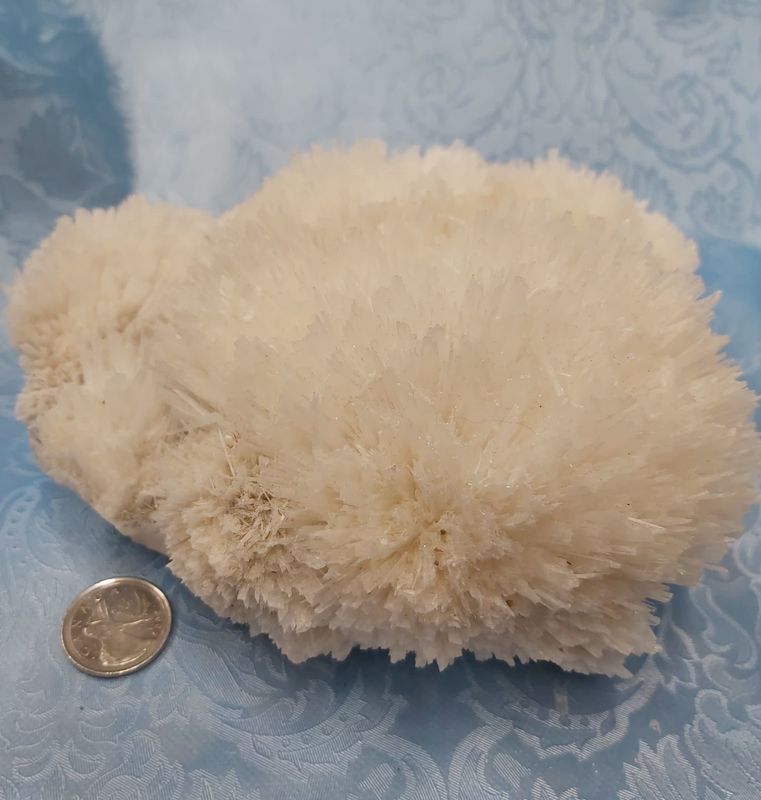 Scolecite Cluster $95