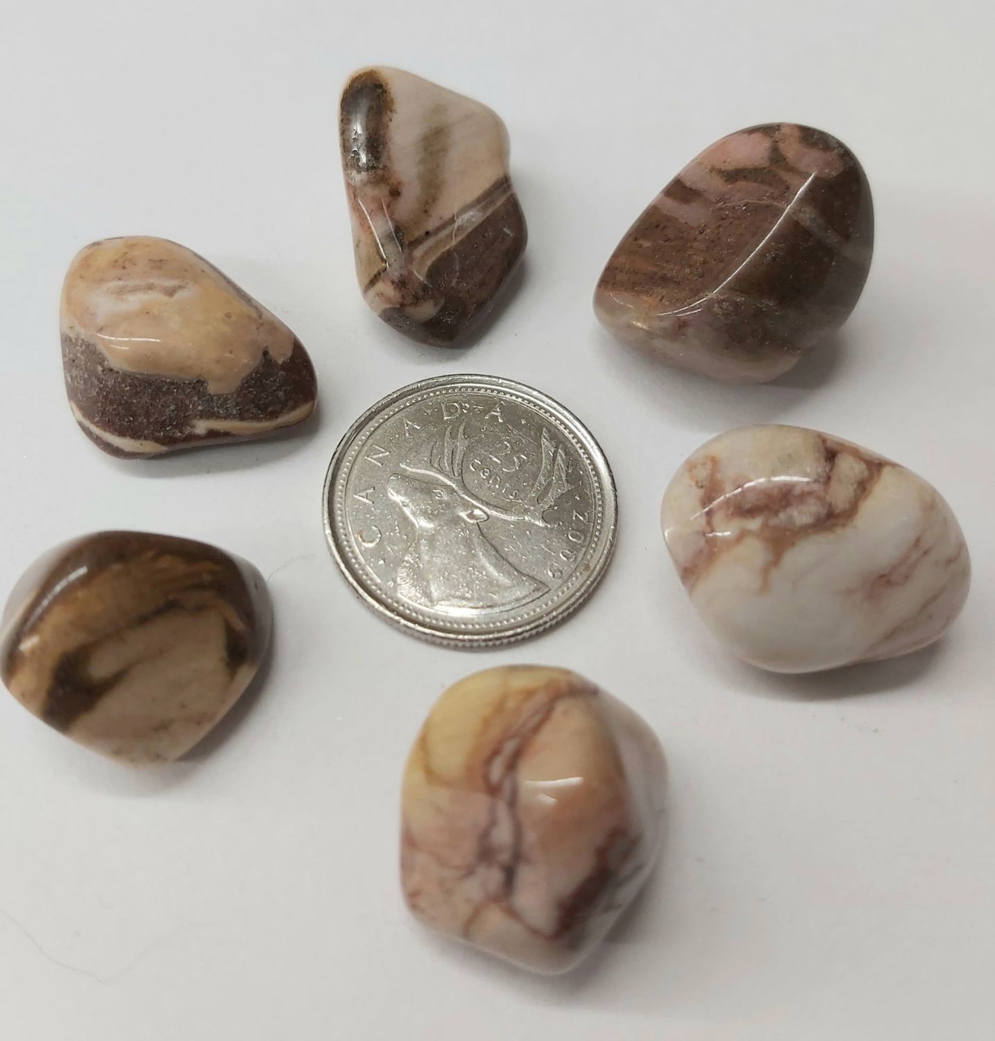 Zebra Jasper Tumbled $2