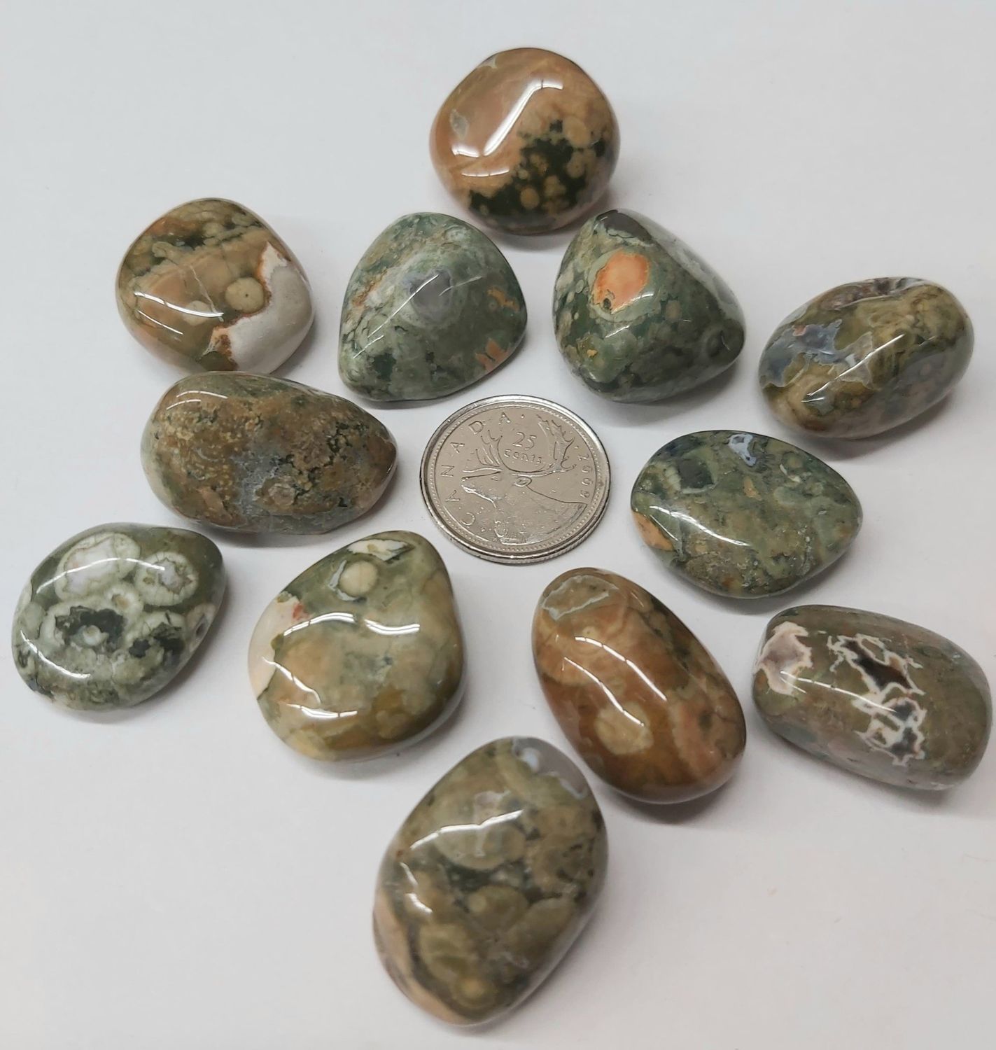 Rainforest Jasper / Rhyolite Tumbled
