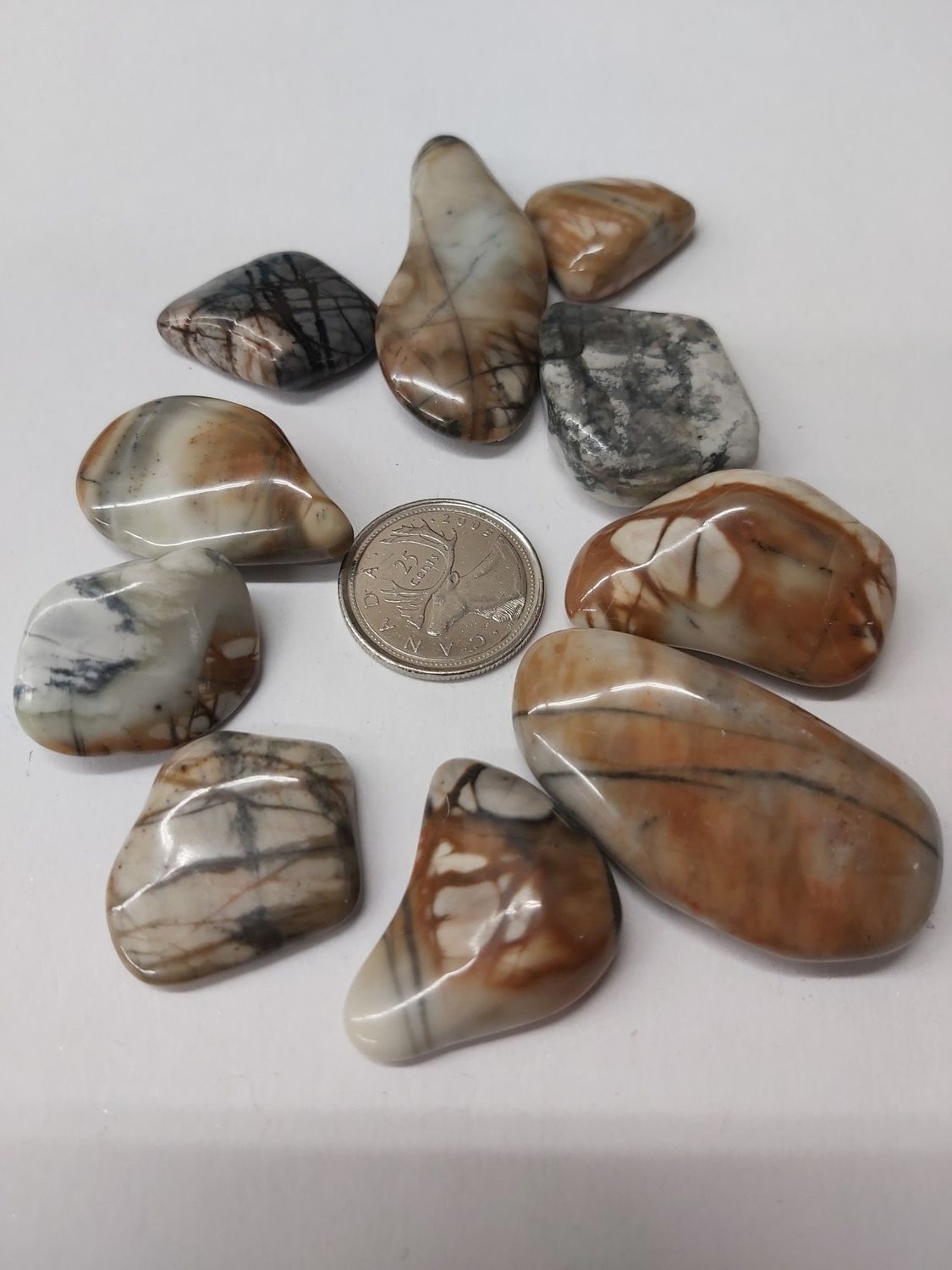 Picasso Jasper Tumbled