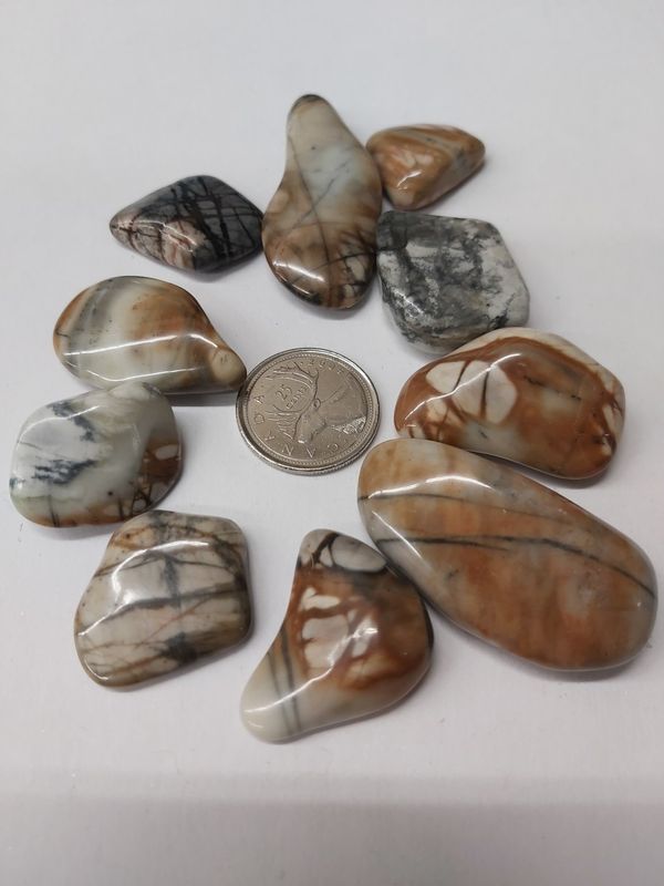 Picasso Jasper Tumbled