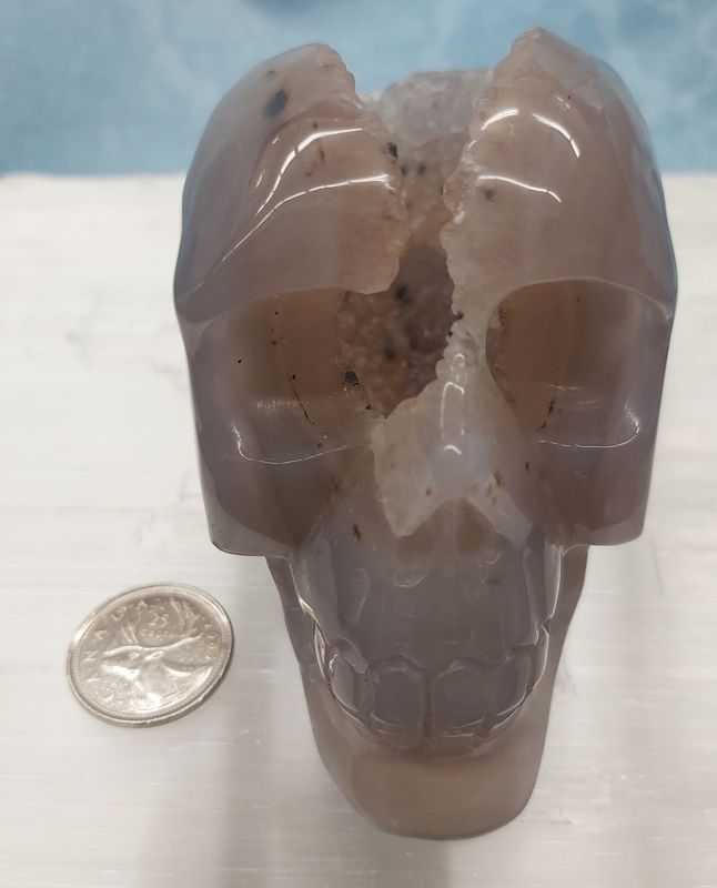 Druzy Agate Skull 4.75in - $175