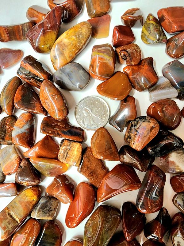 Petrified Wood Tumbled
