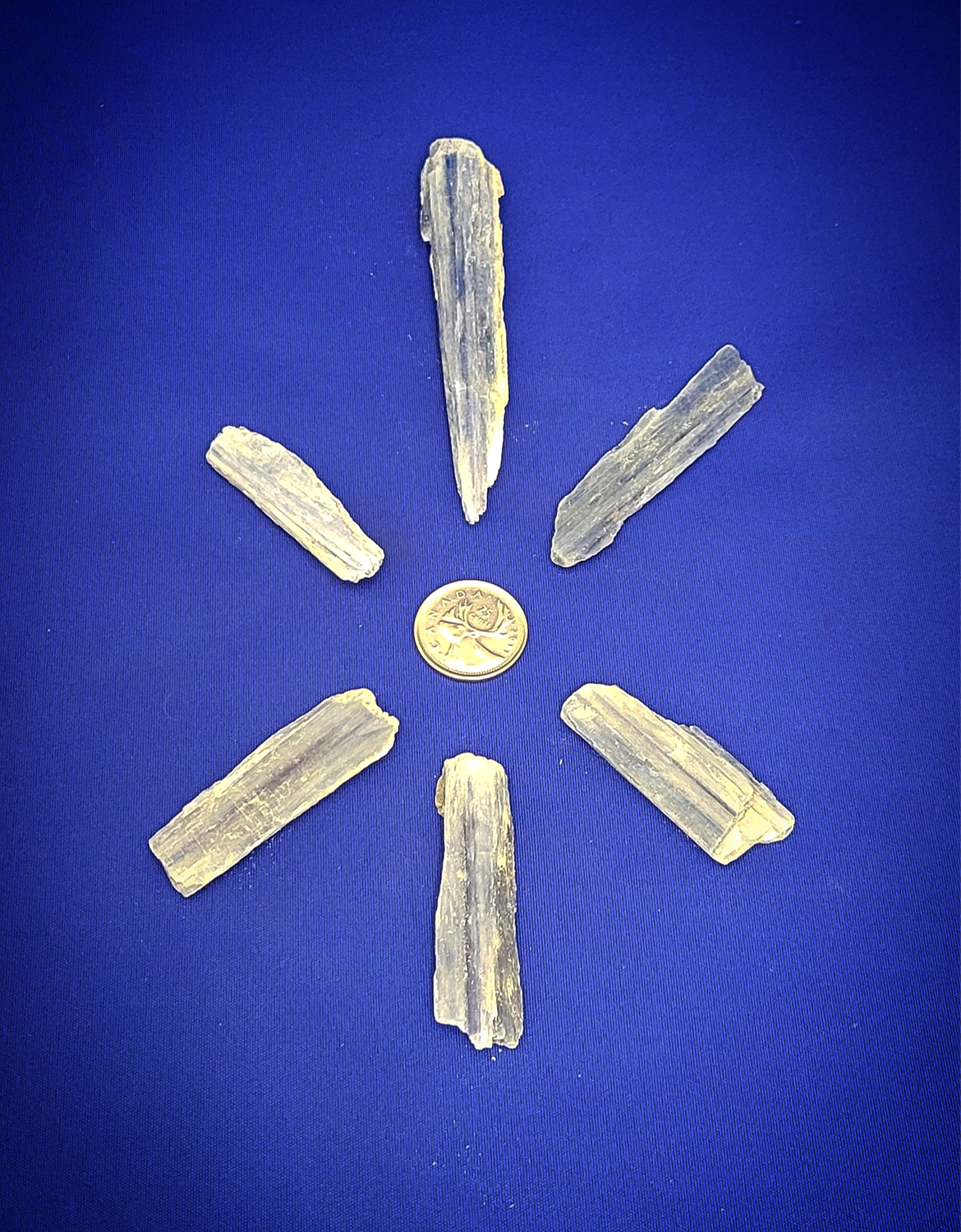 Blue Kyanite Blades Large $3