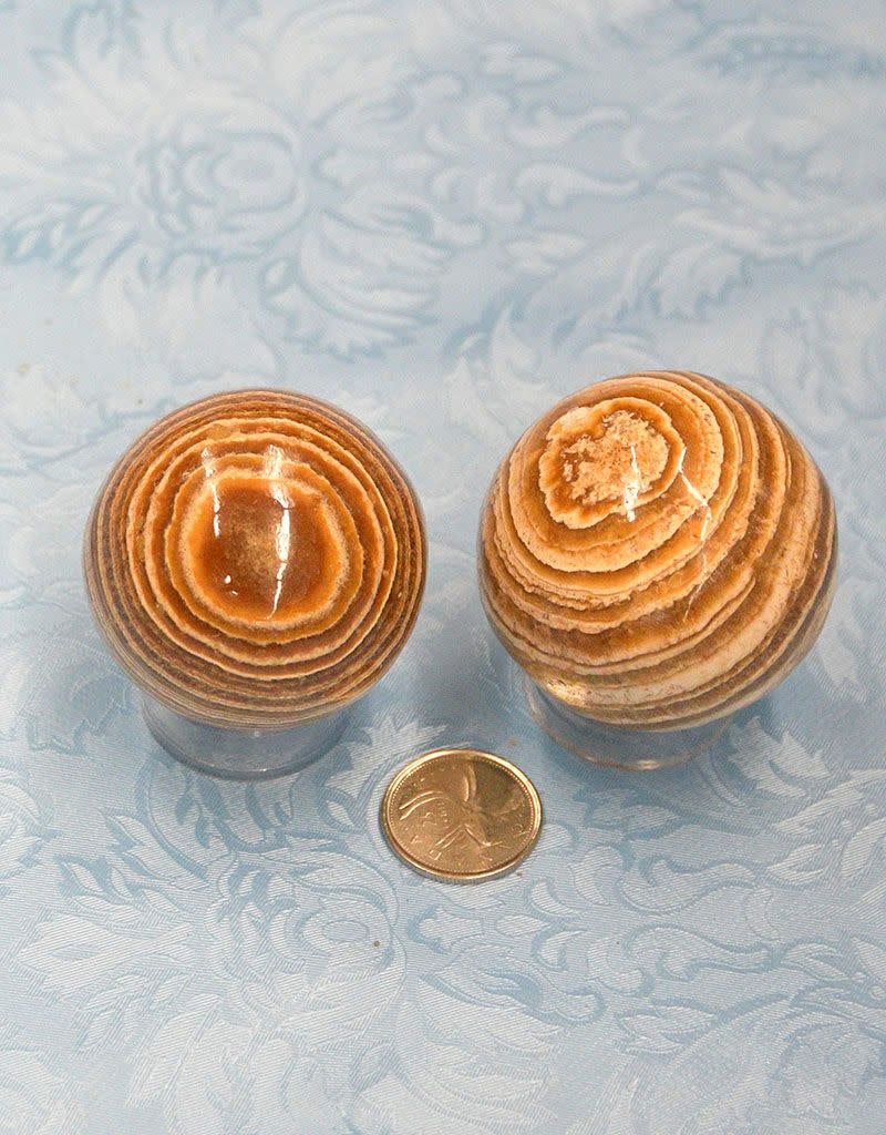 Aragonite Sphere 2&quot; - $13