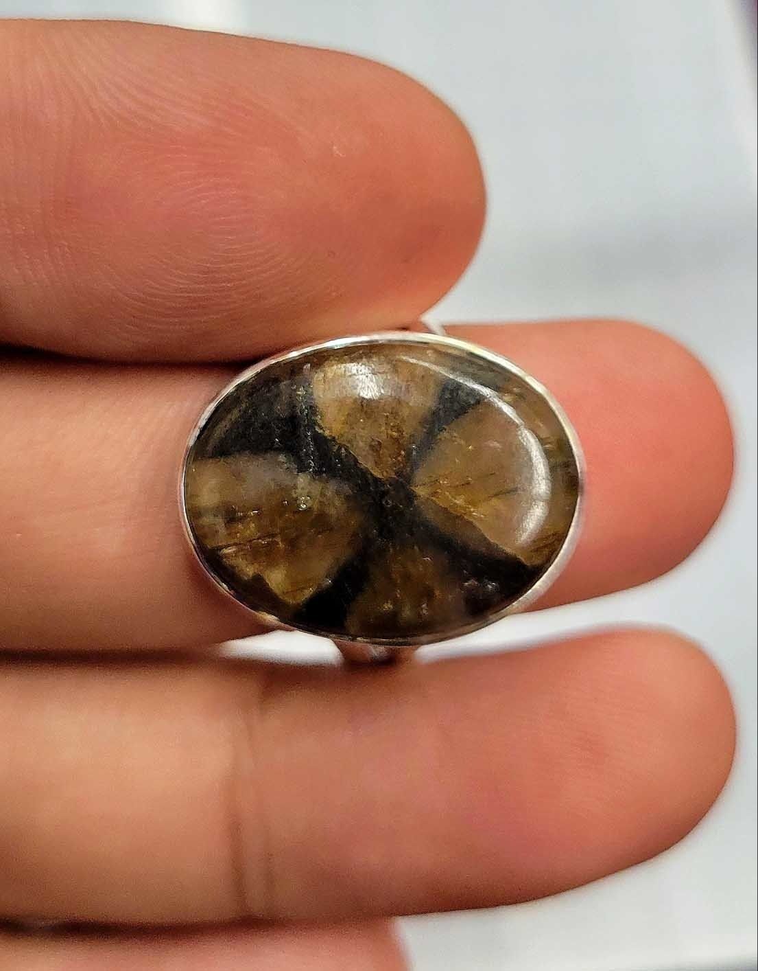 Chiastolite Sterling Silver Ring - Size 10