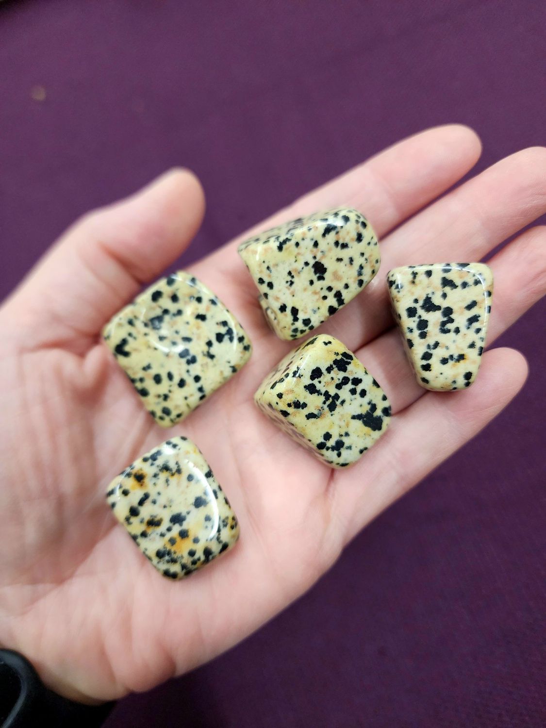 Dalmatian Jasper Tumbled