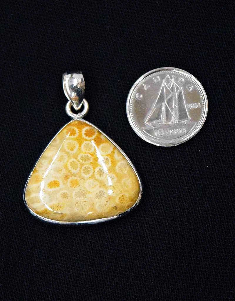 Fossilized Coral Pendant A Sterling Silver