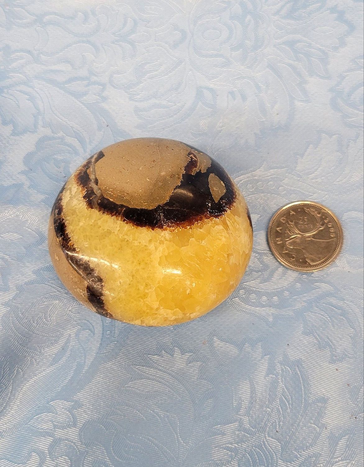 Septarian Palmstone
