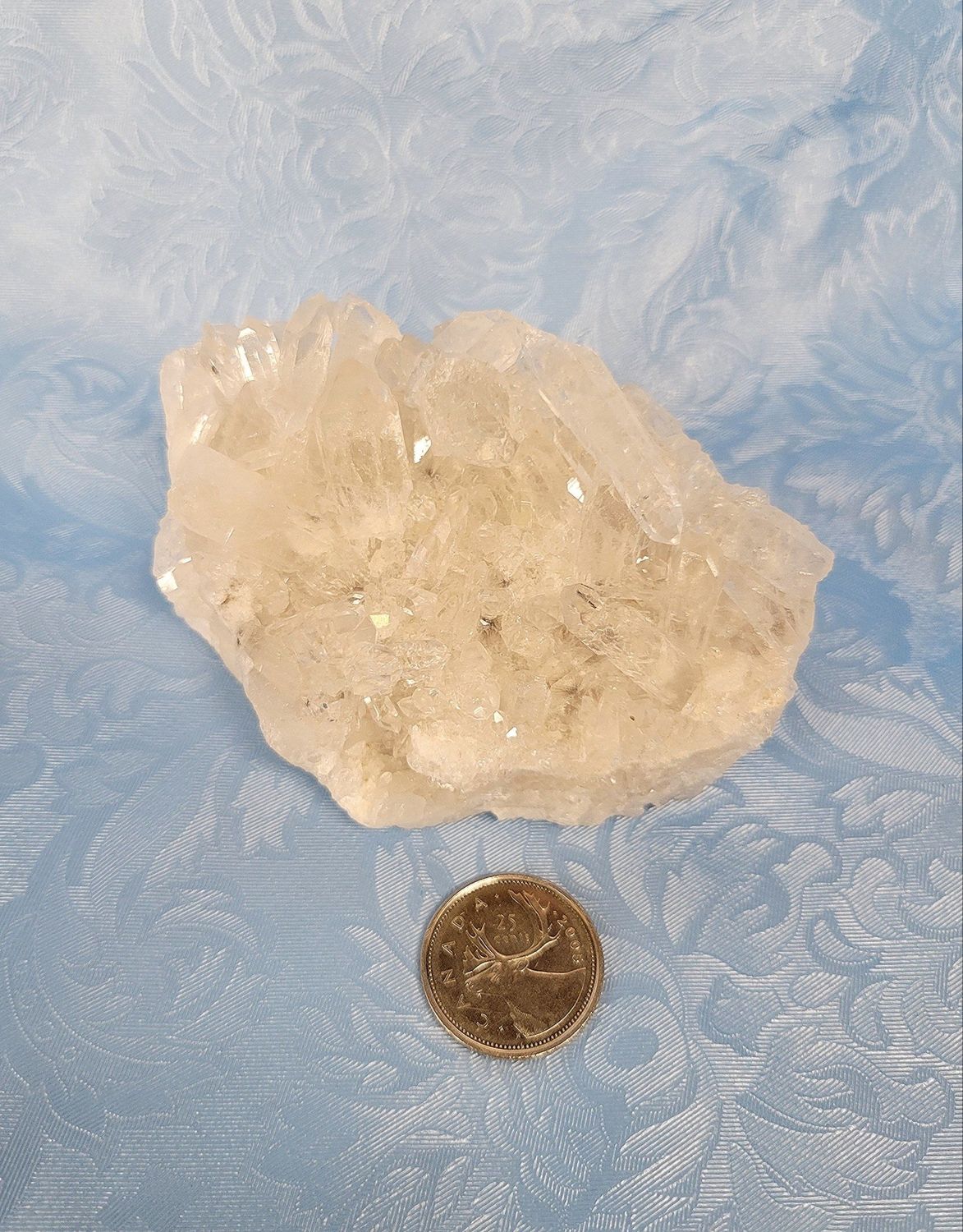 Clear Quartz Cluster $50